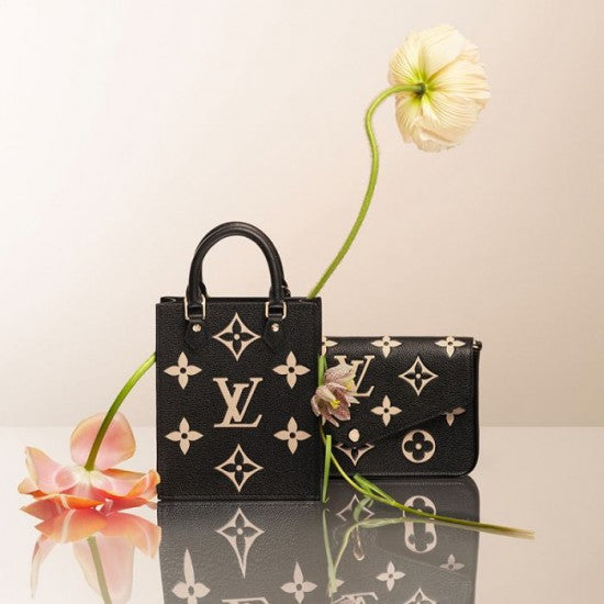 Louis Vuitton Félicie Pochette Gray M69977 Black M80482
