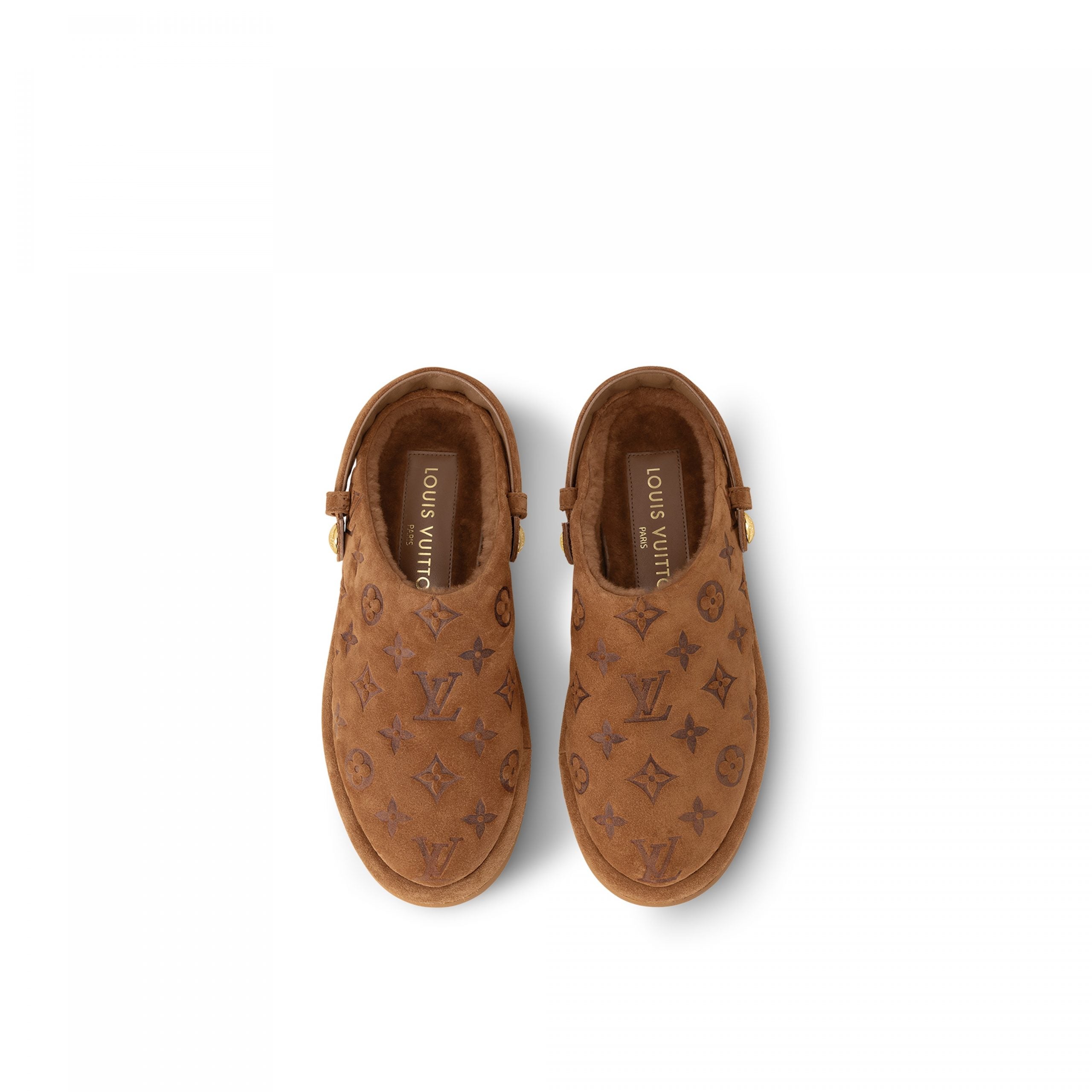 Louis Vuitton Aspen Platform Clog Brown 1ACHWJ