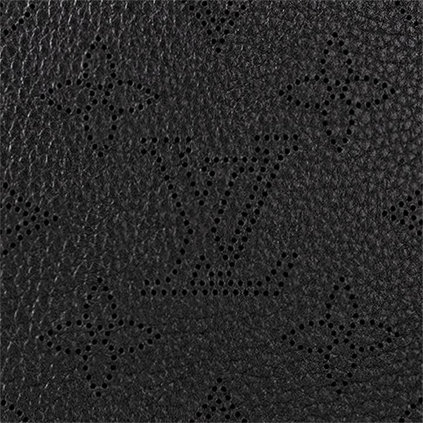 Louis Vuitton M52950 Carmel Black