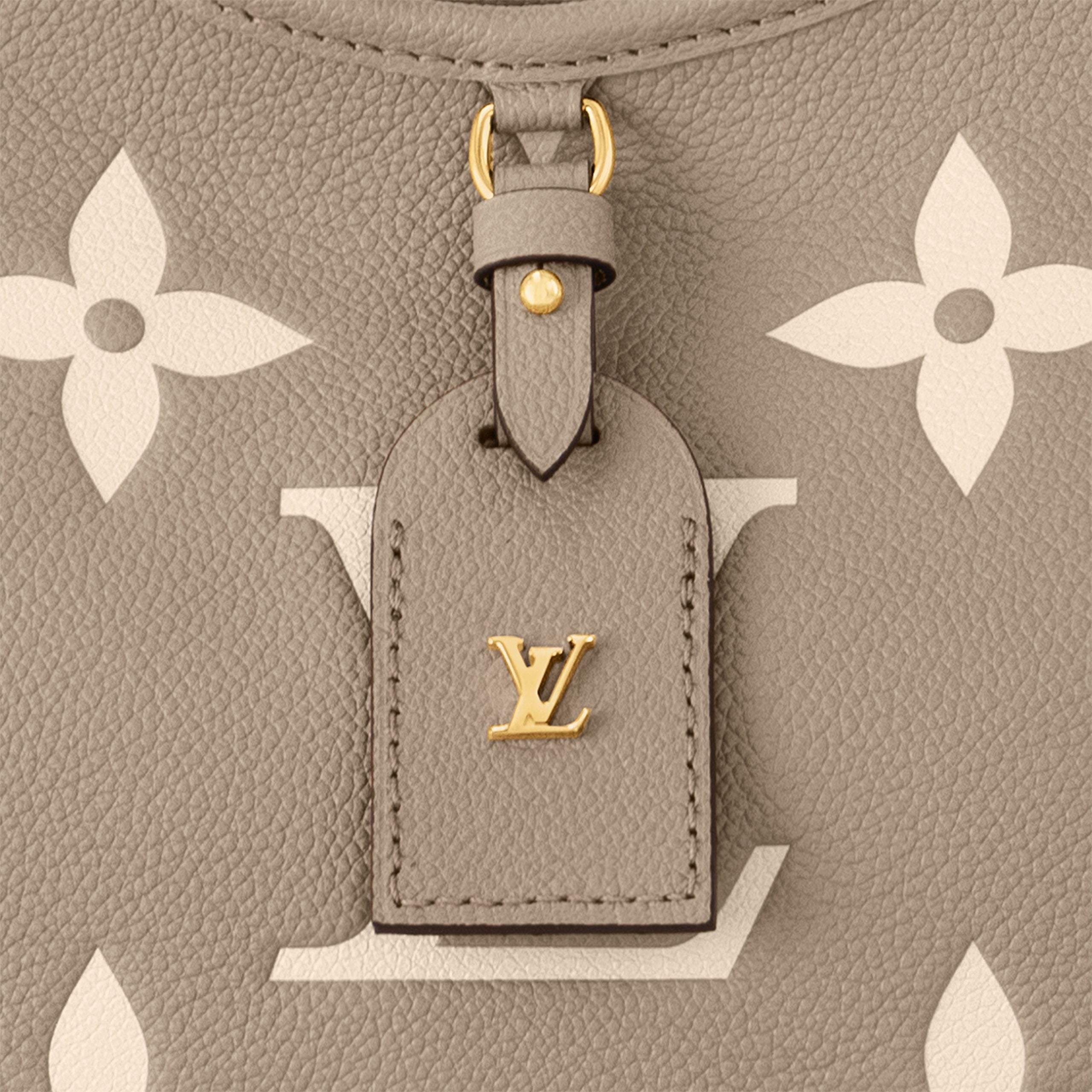 Louis Vuitton M47180 CarryAll PM Tourterelle Gray