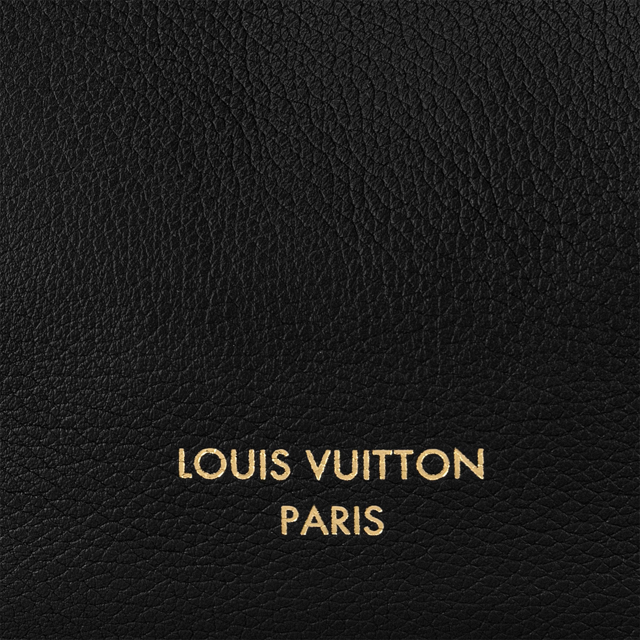 Louis Vuitton M24856 Low Key Hobo MM Black