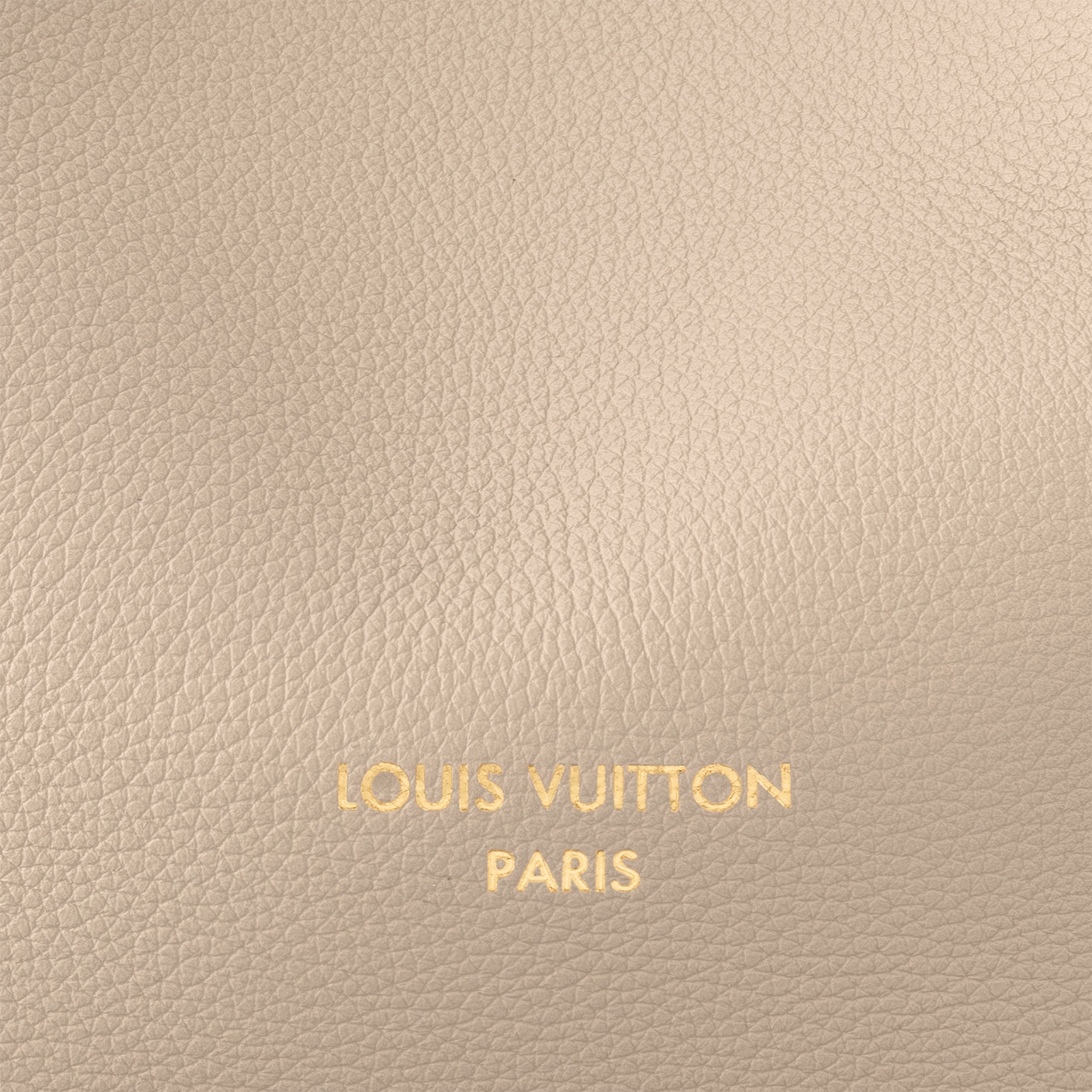 Louis Vuitton M25022 Low Key Hobo MM Limestone Gray