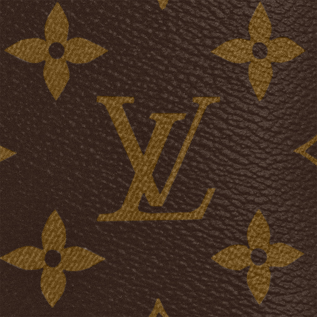 Louis Vuitton M45516 Montsouris BB Black