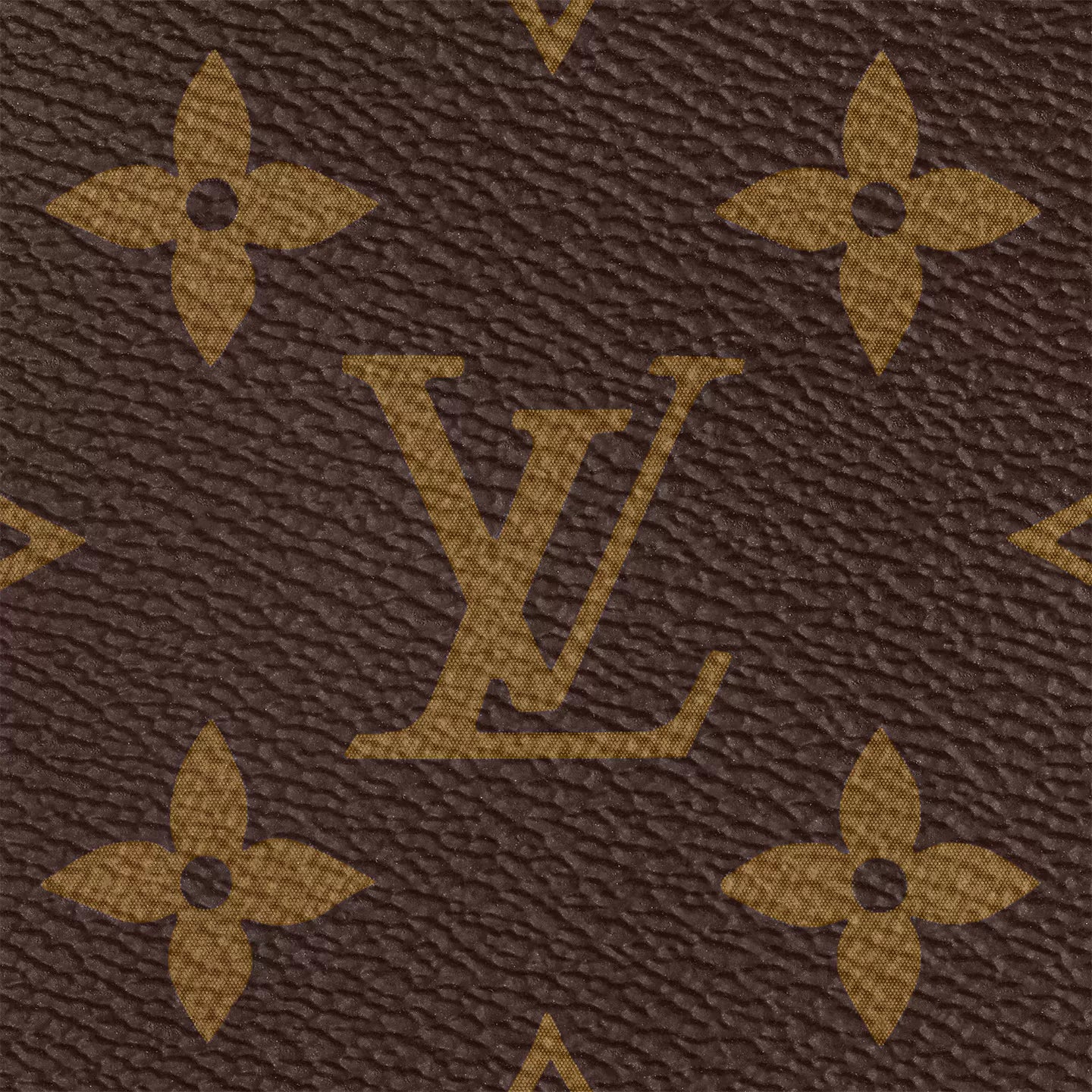 Louis Vuitton M44840 Multi-Pochette Accessoires