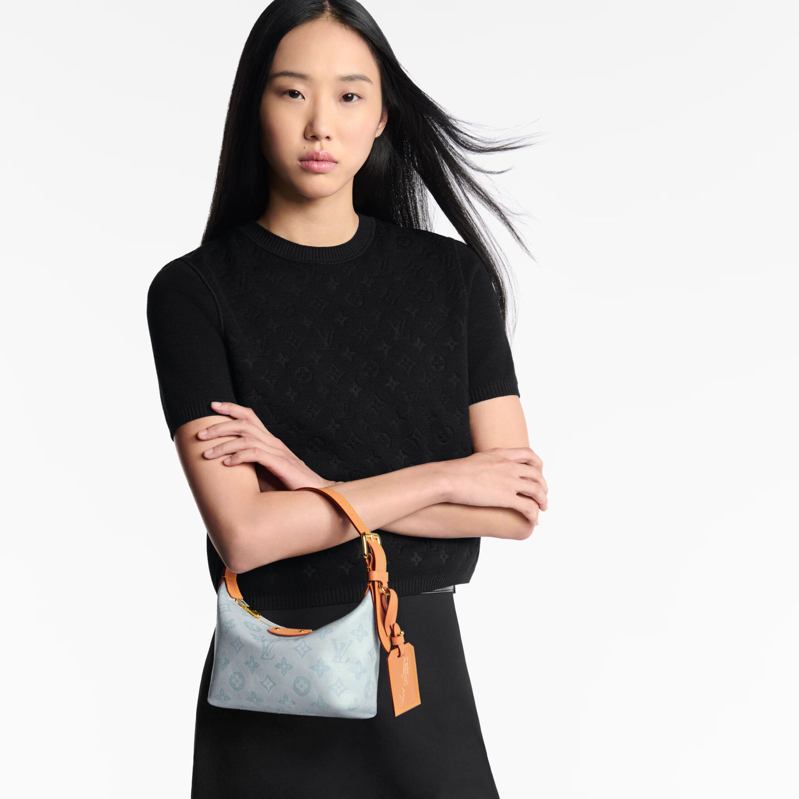 Louis Vuitton M28250 Pochette Hills Monogram Origine