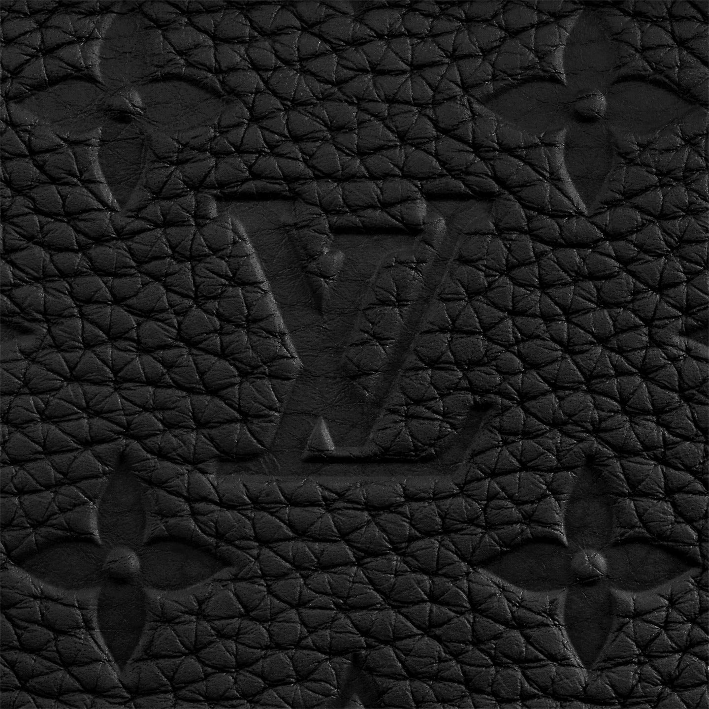 Louis Vuitton Monogram Taurillon Leather M55700 Soft Trunk