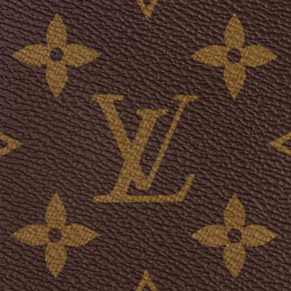 Louis Vuitton Speedy Bandouliere 25 M41113
