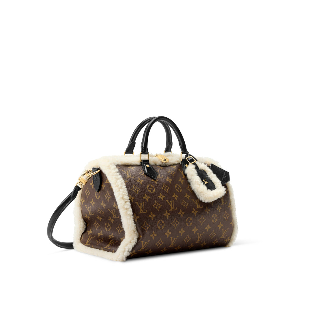 Louis Vuitton M26326 Speedy Soft 30 Teddy